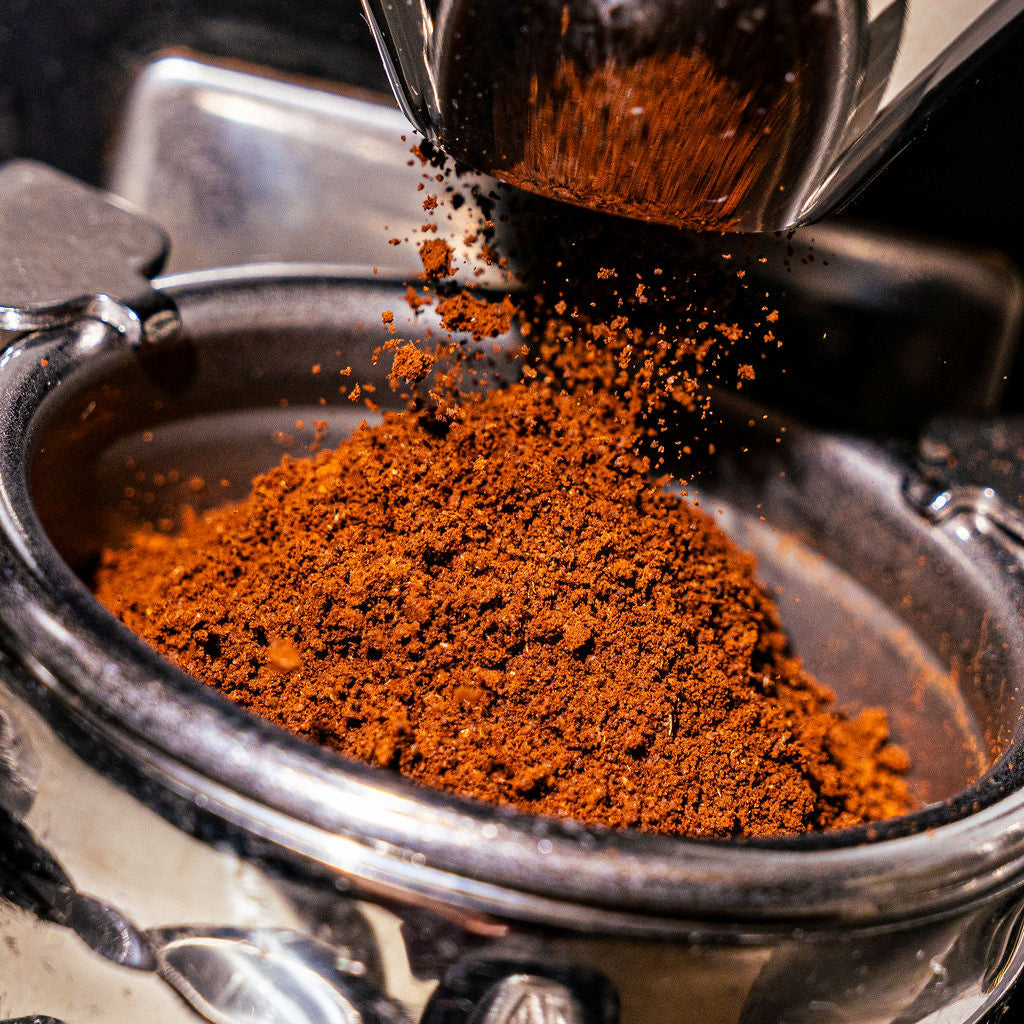 Foresight Coffee Marsh Hen Mill Blend