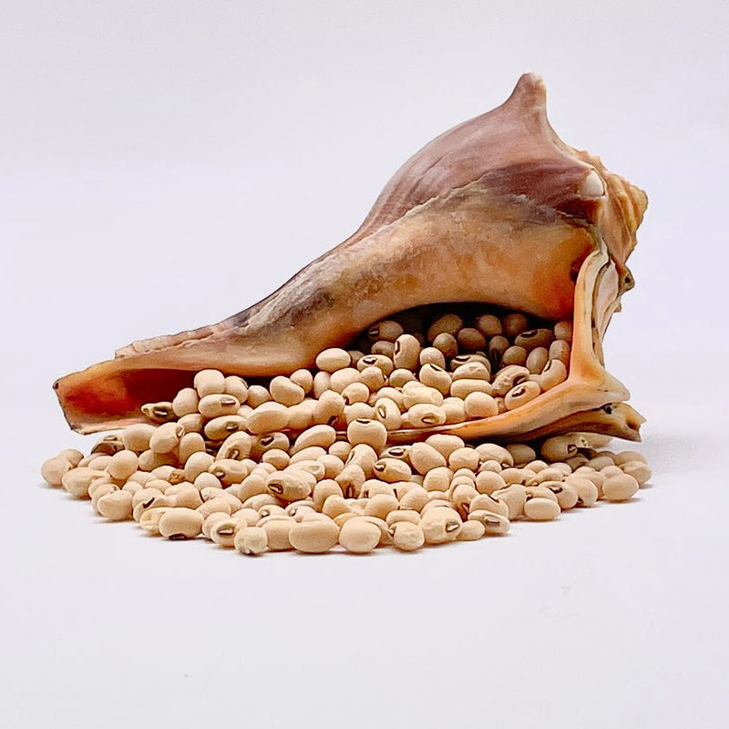 Carolina Conch Peas/CROP FAILURE